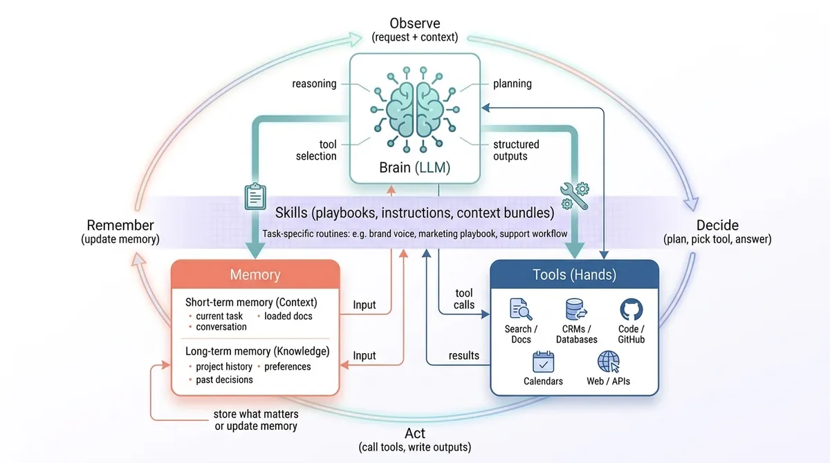 The agent loop: observe, decide, act and remember, around the brain, memory, tools and a skills layer
